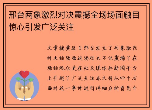 邢台两象激烈对决震撼全场场面触目惊心引发广泛关注