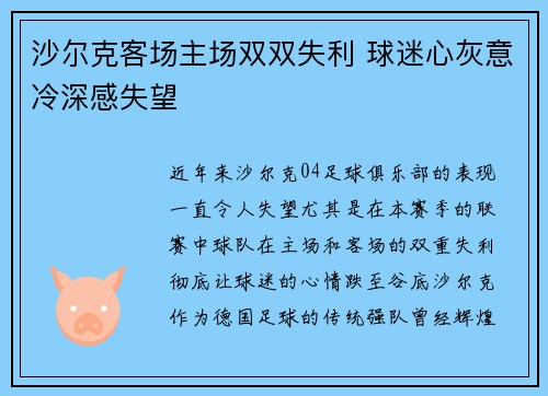 沙尔克客场主场双双失利 球迷心灰意冷深感失望